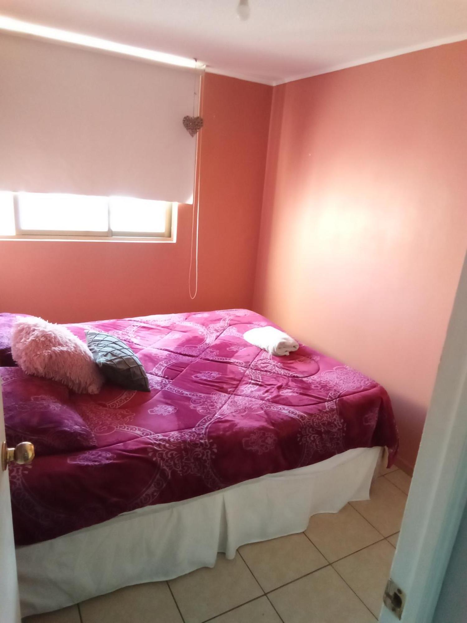 Apartament Departamento En Santiago Metro Nuble Zewnętrze zdjęcie