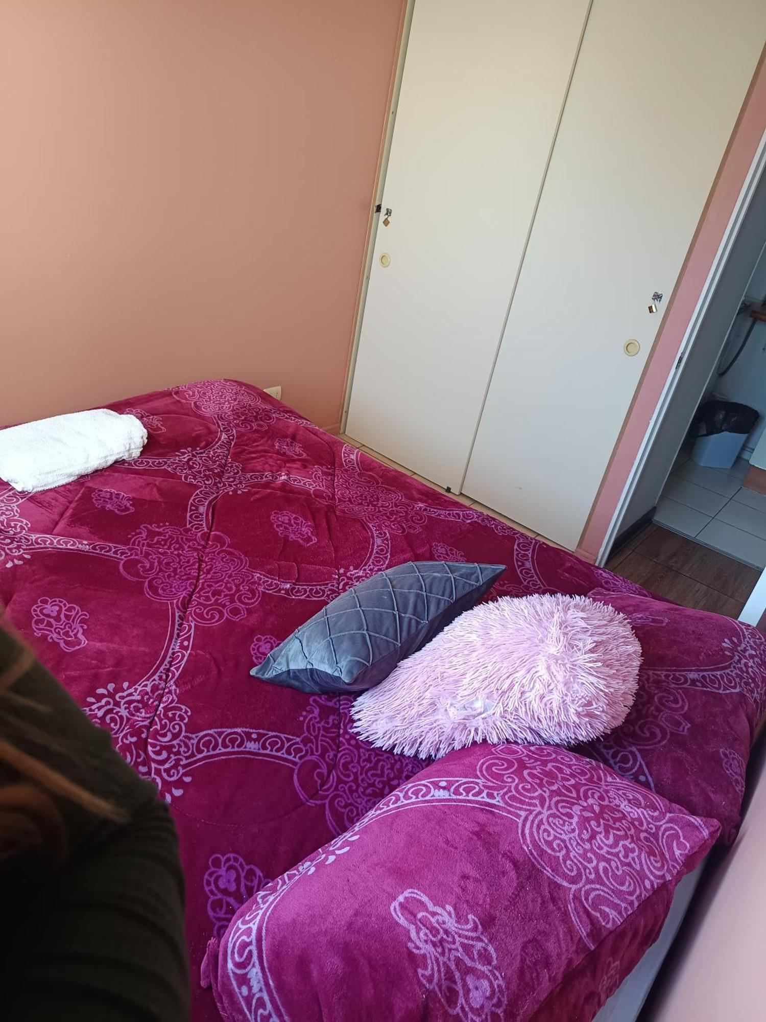 Apartament Departamento En Santiago Metro Nuble Zewnętrze zdjęcie